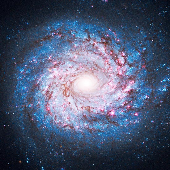 #фэншуй_Лошади_Девам #феншуй_Деве2026 #символ_фэншуй_Девам #Красная_Лошадь_Дева #удача_Дев2026 #гороскоп_Деве2026 #рекомендации_Девам_Лошадь #подарить_Деве2026 #Девы_Огненная_Лошадь #работа_над_собой #коллектив_лидерство #отношения_здравый_смысл