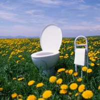 Bathroom-pole.jpg