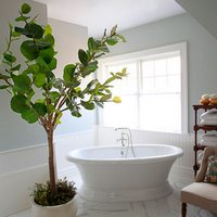 Bathroom-voda.jpg