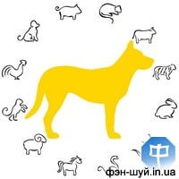 В год Земляной Собаки правят две стихии - Земля и Огонь. Причем Земля преобладает, поскольку ее представляет небесный ствол и земная ветвь, а огонь представляет только годовое число гуа 9. Но это даже хорошо. Земля и Огонь в таком соотношении могут... китайского гороскопа, фэншуй Желтая Собака, гороскоп год Земляной Собаки, китайский гороскоп 2018, столпы судьбы, земная ветвь, небесный ствол, восточный гороскоп, числа гуа 2018, судьба, карта, предсказание, будущее