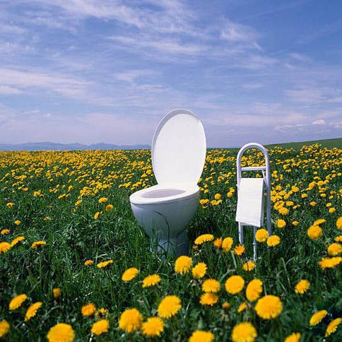 #туалетводворе #санузелнаулице #перенеституалет #фэншуйтуалета #санузелфеншуй #фэншуйдуш #ваннаяпофеншуй #убратьнаулицу #зонатуалета #секторсанузла