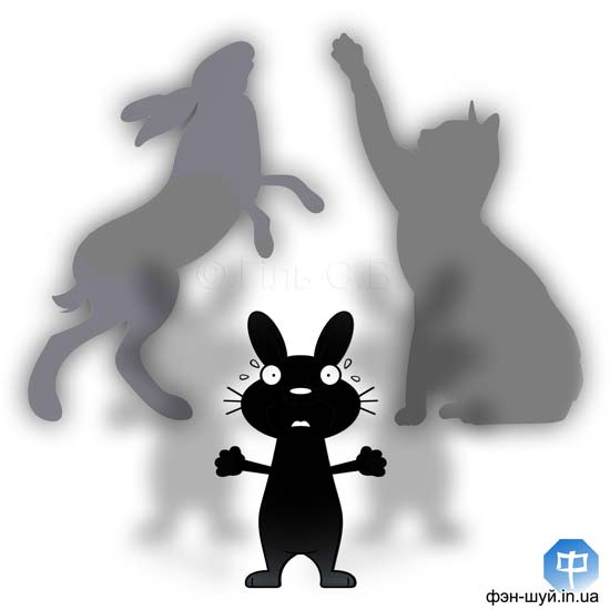 #почему_кролик #год_кота_зайца #кто_лучше #управитель_года #2023_кролика #фэншуй_кота #китайский_год_кролика #черный_кролик #выбрать_животное_года #секрет_2023