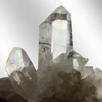 В год Древесной Овцы начнется трансформация вас как личности. Появится возможность отточить свой характер, проявить независимость и избавиться от недостатков...
