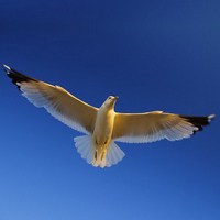 Если вам надоели семейные конфликты и бытовые неурядицы, то лучшее, что можно сделать, это набраться смелости и заявить всему миру...