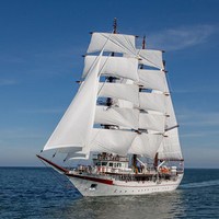 Конфликтный и в то же время решающий год! Испытания, которые приготовила вам судьба в личной жизни, закалят вас и сделают мудрее...