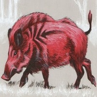 ognennyiy-krasnyiy-Kaban.jpg