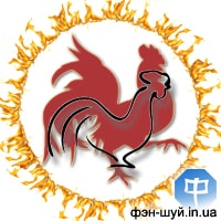 10-rooster-Rooster-fire.jpg