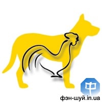 10-rooster-petuh-goroskop-2018.jpg