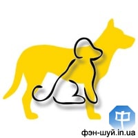 11-dog-sobaka-goroskop-2018.jpg