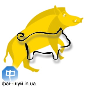 12-pig-kaban-svinya-goroskop-2019.jpg