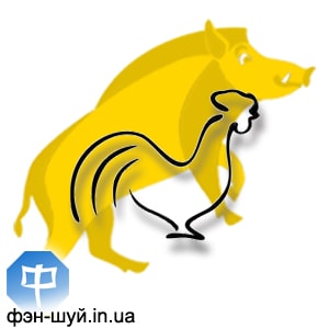 10-rooster-petuh-goroskop-2019.jpg