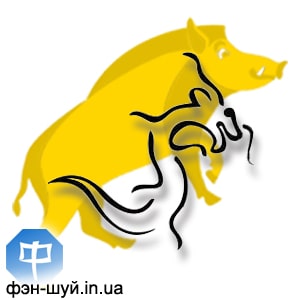 5-dragon-drakon-goroskop-2019.jpg