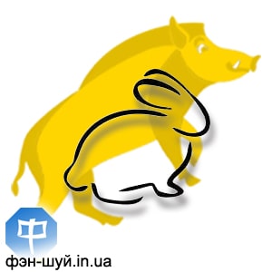 4-rabbit-krolik-goroskop-2019.jpg