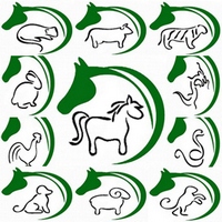 Восточный гороскоп 2014 год Древесной (зеленой) Лошади для всех знаков