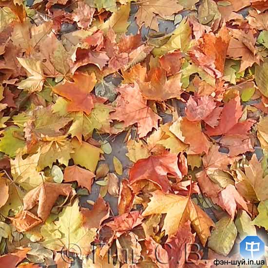 #__ #_ #__ #_ #_ #_ #__ #__