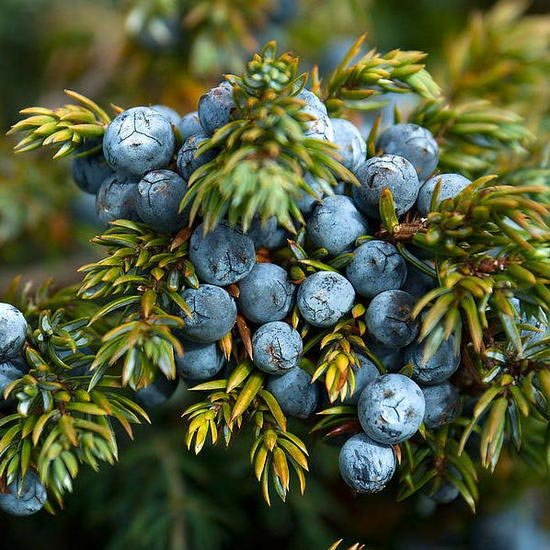 #_ #__ #__ #__ #_ #_