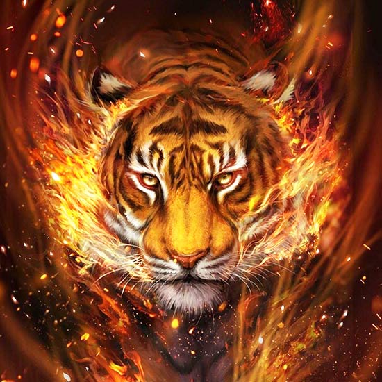 #красный_огненный_тигр #удача_тигра #восточный_гороскоп_тигры #рожденные_год_красного_тигры #когда_родился_тигр #где_успешны_тигров