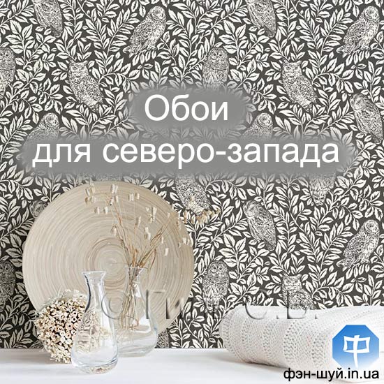 #обои_сова #подобрать_обои #какой_сектор #сектор_совы #зона_металла #сектор_металл #стимулировать_северозапад #усилить_северозапад #фэншуй_сова #феншуй_металл #феншуй_дерево #фэншуй_обои