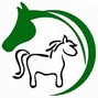 восточный гороскоп древесной лошади, год зеленого коня, гороскоп год зеленой лошади, китайский гороскоп 2014, восточный гороскоп, зеленая лошадь, деревянная лошадка, деревянный конь