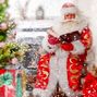 святой Николай, Санта Клаус, Santa Claus, Дед Мороз, Новый Год, Рождество, подарки, зима, елка