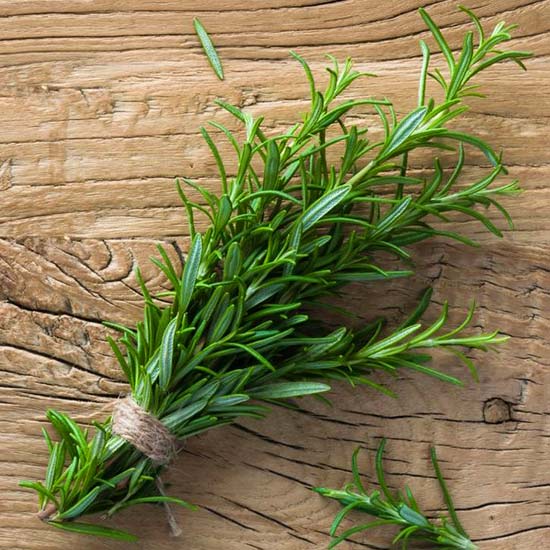 #розмарин_целебный #кустарник_исцеляет #косметология #приправа #розмарин_фэншуй #феншуй_травы #фэншуй_растения #розмарин_помогает #розмарин_история