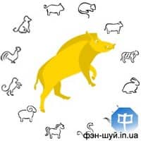 С позиции годового столпа и гуа 8 в год Кабана взаимодействуют две стихии Земля и Вода. Землю инь представляют небесный ствол, Землю ян гуа 8, а Воду инь земная ветвь, то есть, представляет непосредственно сам Кабан. Вы, наверное, возмутитесь «Как... китайского гороскопа, фэншуй Желтая Свинья, гороскоп год Земляной Свиньи, китайский гороскоп 2019, столпы судьбы 2019, земная ветвь Кабан, небесный ствол год Желтого Кабана, восточный гороскоп, числа гуа 2019, судьба, карта, предсказание, будущее